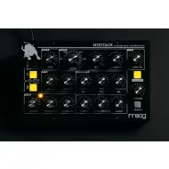 Moog Minitaur, Analog Bass Synthesizer