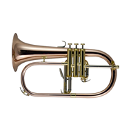 John Packer Bb Flugel horn, Rose Brass